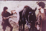 CLICK PHOTO TO ENLARGE